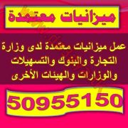 عمل الميزانيات العمومية المعتمدة 50955150 لدى وزارة التجارة والبنوك والتسهيلات لجميع انواع الشركات والمؤسسات